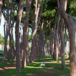 Ginevra 4 -