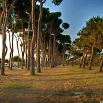 Ginevra 4 - Pineto