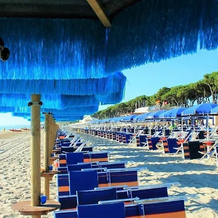 Ginevra 4 -